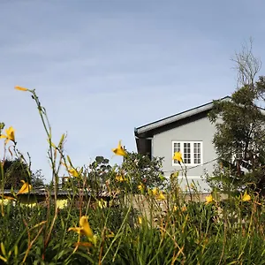 Accommodatie bij particulieren Pedro View, Nuwara Eliya